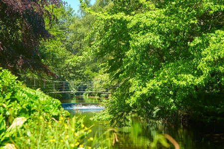 River are surrounded by amazing Avoca Garden with flowering plants of various colors in Wicklow,...