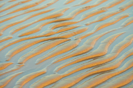 Sand waves texture with water on the sea beach. Yellow sand texture for background.の写真素材