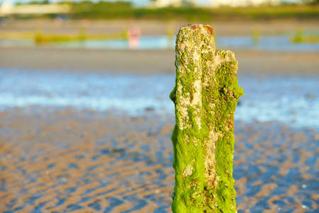 Sandy beach and archs with green moss on the daytime.