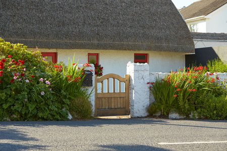 View of brightly Irish house front with traditional colored england entrance door.の写真素材