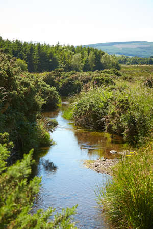 Idyllic river landscape with greenery. Mysteries forest. Green landscape with mountains in...