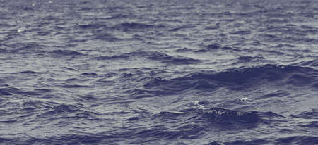 Detail of a sunlight reflecting in glittering sea. sparkler in water - background. sea water with...