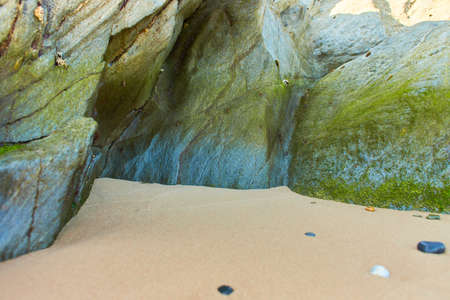 Rocky beach with green moss on the daytime with the sea background.の写真素材