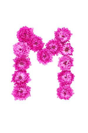 Letter M made of flowers, figures from pink Chrysanthemum, isolated on white background.の写真素材
