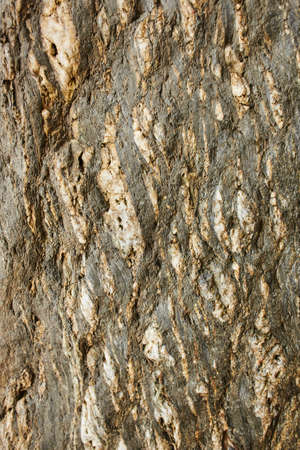 Marble texture background floor decorative stone interior. natural pattern of marble background,...