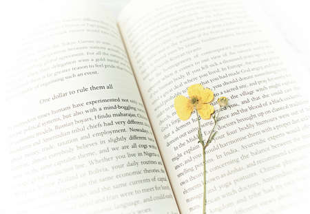 Close-up of Opened Book and dry wildflowerの写真素材