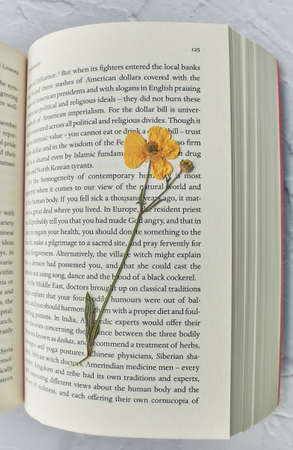 Close-up of Opened Book and dry wildflowerの写真素材