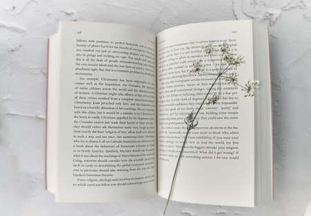 Close-up of Opened Book and dry wildflowerの写真素材