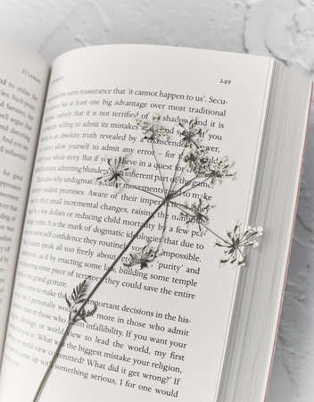 Close-up of Opened Book and dry wildflowerの写真素材