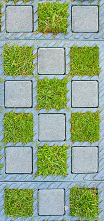 Sample of brick pavement with grass.の写真素材