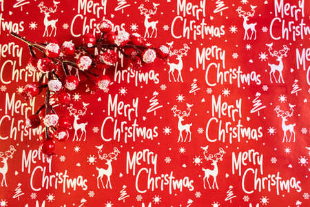 Christmas and new year background. Snowy rosehip on the New Year background.の写真素材