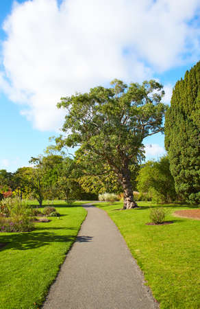 The landscaped Avoca Garden at a county Wicklow, Ireland.の写真素材