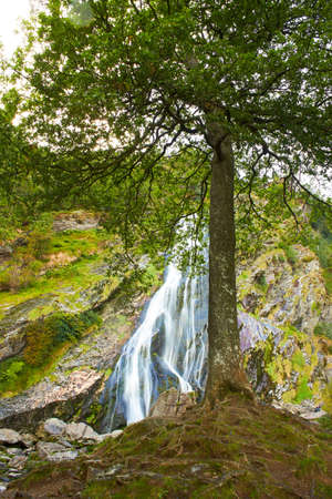 Majestic water cascade of Powerscourt Waterfall, the highest waterfall in Ireland. Famous tourist attractions in co. Wicklow, Ireland.の写真素材