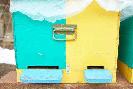 colored wooden bee hives in winterの写真素材