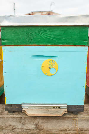 colored wooden bee hives in winter