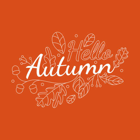Vector hand drawn white outline illustration of autumn leaves and acorns. Isolated objects. Templates for stylish card, banners, flyers, presentations.のイラスト素材