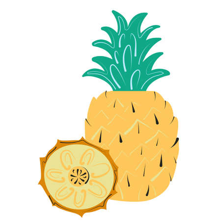 Stylized summer pineapple fruit and its slice. Vector illustration cartoon flat icon isolated on white.のイラスト素材