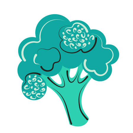 Abstract decorative vector illustration of broccoli. Farm vegetable on an isolated white background.のイラスト素材