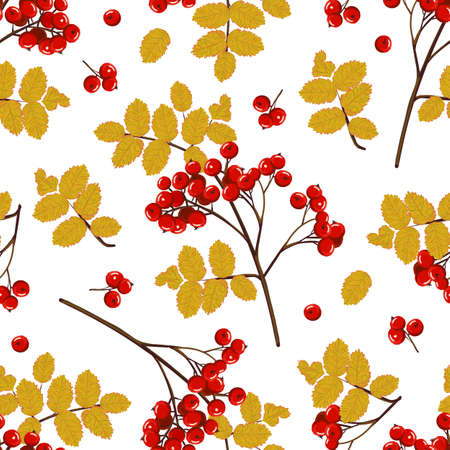 Seamless pattern of red rowan branches and yellow leaves. Hand drawn autumn vector backgroundのイラスト素材