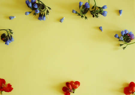 Yellow background with a frame of small red and blue flowers