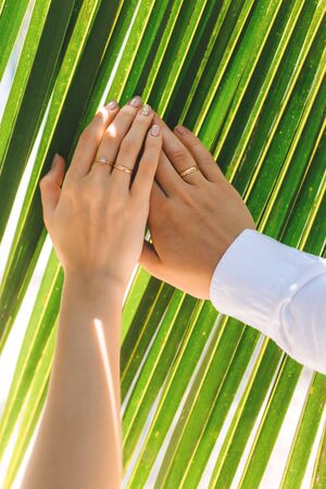 Hands with couple rings on their wedding day on the background of palm treesの写真素材