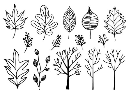A black and white autumn-themed doodle featuring contour drawings. The illustration includes elements of the fall season, such as leaves and other characteristic items, drawn in a hand-drawn style. This simple yet elegant design is perfect for greeting cards, posters, or as a base for coloring or further digital editing.のイラスト素材