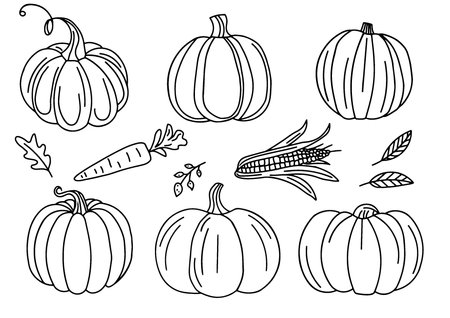 A hand-drawn black and white contour doodle of a pumpkin, perfect for autumn and Halloween projects. This versatile vector illustration is ideal for seasonal designs, including invitations, posters, and web graphics.のイラスト素材