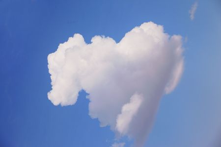 Sky ponyの写真素材