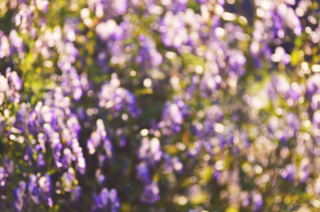 Abstract nature bokeh background - blur colorful bokeh. Nature blurred bokeh background from flowers.の写真素材