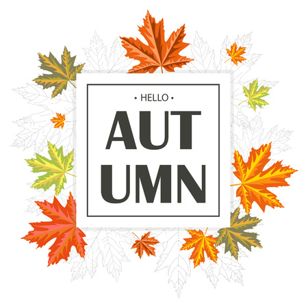 Autumn foliage, banner for your design.のイラスト素材