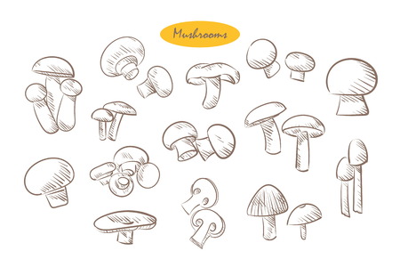 Mushrooms set on a white background. Mushrooms in doodle style.の写真素材
