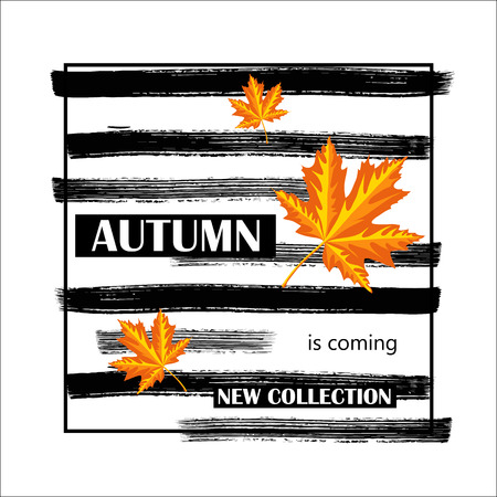 Autumn is coming banner with autumn leaves and with ink hand painted stripes.のイラスト素材