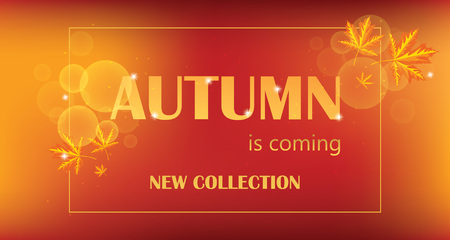 Autumn is coming banner with autumn background.のイラスト素材