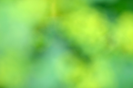 Abstract nature bokeh background - blur colorful bokeh. Natural blurred bokeh background from grass and yellow flowersの写真素材