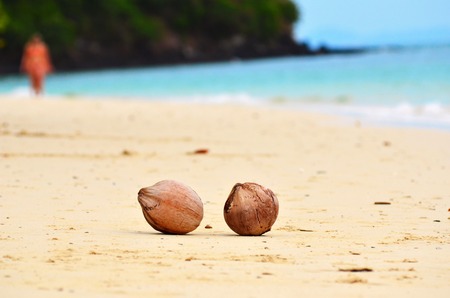 Two coconuts on the sandy sea shoreの写真素材