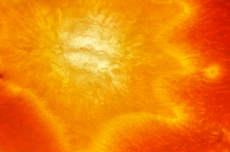 Close up of orange carrot slice center. Macro photography.の写真素材