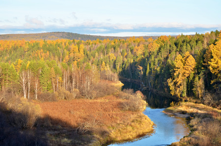 Scenic forest highlands landscape in a fall.の写真素材