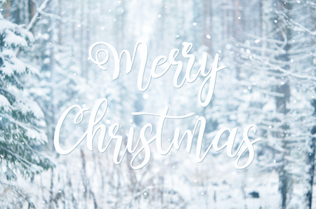 Merry Christmas card with winter landscape.の写真素材