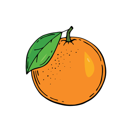 Orange in doodle style icons vector illustration for design. Hand drawnの写真素材