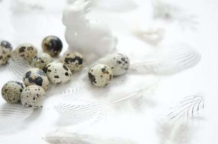Happy Easter Day. Easter bunny, quail eggs and feathering.の写真素材
