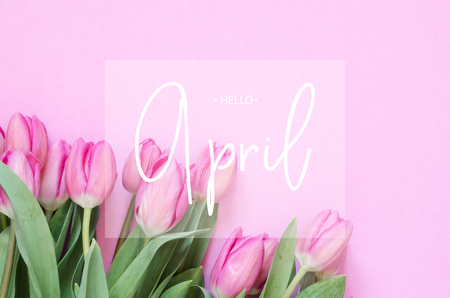 Inscription Hello April. Tulip flower. Spring background.の写真素材