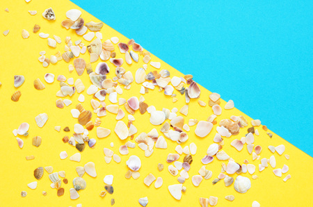 Sea shells pattern on  turquoise and yellow paper background. Summer concept. Flat lay, top view -...