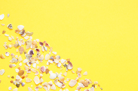 Sea shells pattern on  turquoise and yellow paper background. Summer concept. Flat lay, top view - Imageの写真素材