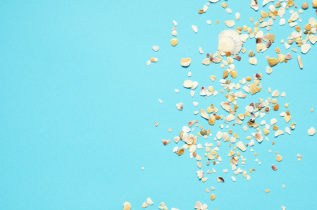 Sea shells pattern on blue paper background. Summer concept. Flat lay, top view - Imageの写真素材