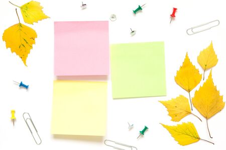 School stationery and yellow autumn leaves isolated on white. Back to school concept. Copy space....