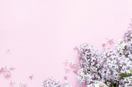 Lilac flowers on pink background. Spring flowers. Top view, flat lay, copy space. - Imageの写真素材