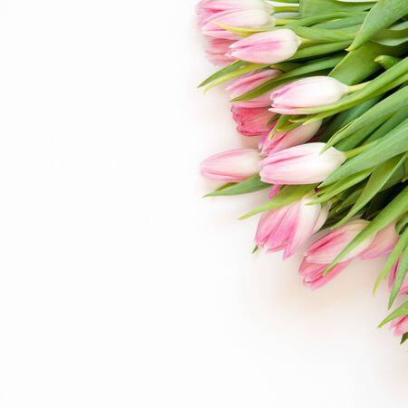 Tulips flowers on white background. Flat lay, top view. Lovely greeting card with tulips for Mother's day, wedding or happy event - Image.の写真素材