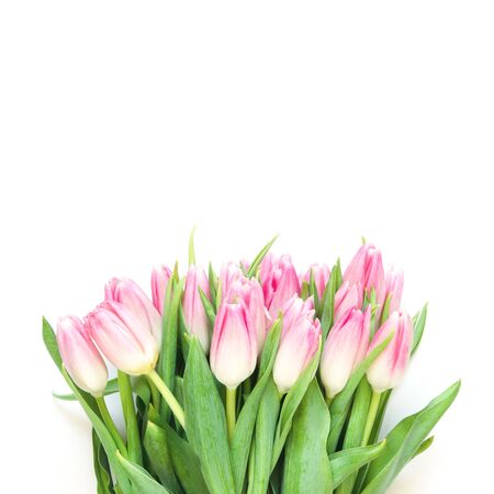 Tulips flowers on white background. Flat lay, top view. Lovely greeting card with tulips for Mother's day, wedding or happy event - Image.の写真素材