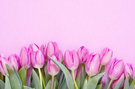 Tulips flowers on pink background. Flat lay, top view. Lovely greeting card with tulips for Mother's day, wedding or happy event - Image.の写真素材