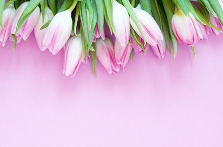 Tulips flowers on pink background. Flat lay, top view. Lovely greeting card with tulips for Mother's day, wedding or happy event - Image.の写真素材